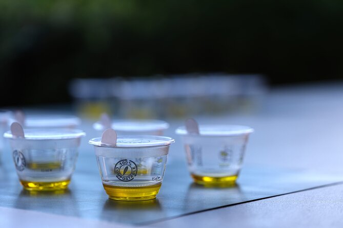 Olive Oil Tasting at the Mykonian Farm - Comparing two award-winning oils with two flawed oils