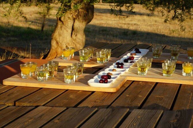 Olive Oil Tasting at the Mykonian Farm - Who will enjoy this tasting most?