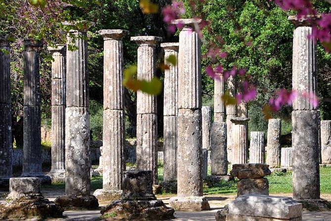 Olympia Shore Ex: Olympic site, Honey Farm & Olive Oil Tasting - From Katakolon Port to the heart of Olympia