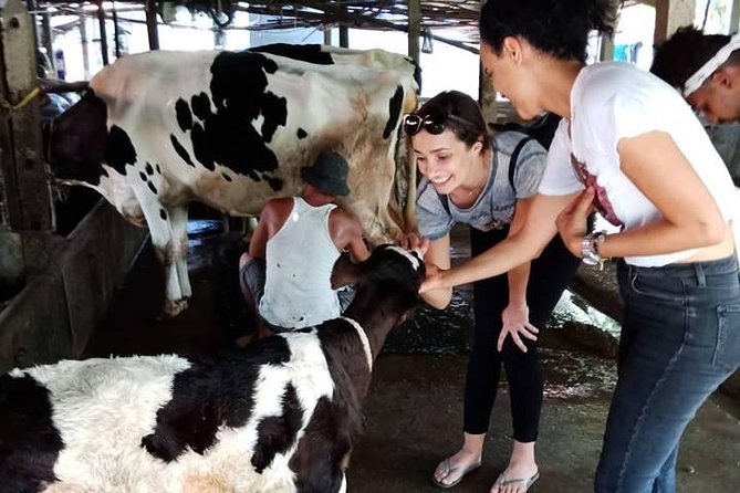 One day be Farmer and Master chef in Saigon - Starting early in Nhà Bè District