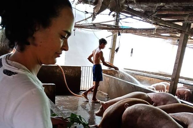 One day be Farmer and Master chef in Saigon - Cooking with Chef Tan