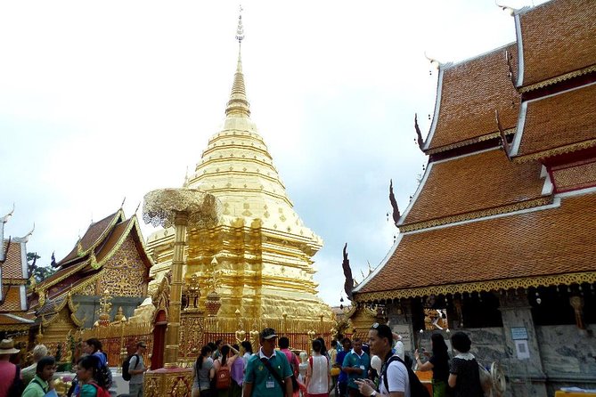 One Day Tour Doi Suthep Temple, Palad Temple, Orchid Farm, Longneck hill tribe village (Private tour) - Why this private Chiang Mai day works well