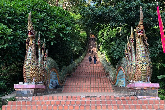 One Day Tour Doi Suthep Temple, Palad Temple, Orchid Farm, Longneck hill tribe village (Private tour) - Orchid plants and butterflies at Bai Orchid Farm