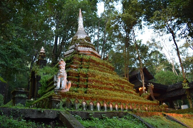 One Day Tour Doi Suthep Temple, Palad Temple, Orchid Farm, Longneck hill tribe village (Private tour) - Khao Soi lunch and the northern food connection