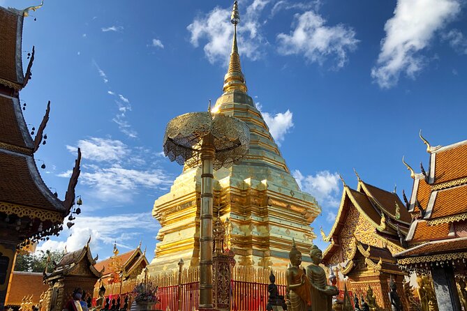 One Day Tour Doi Suthep Temple, Palad Temple, Orchid Farm, Longneck hill tribe village (Private tour) - The guide, driver, and private vehicle
