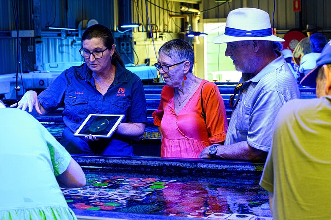 One Hour Coral Farm Tour, Discover Australia's Marine Life - A closer look at reef color and marine life