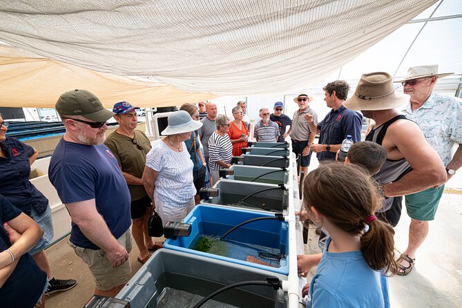 One Hour Coral Farm Tour, Discover Australia's Marine Life - How long the visit takes