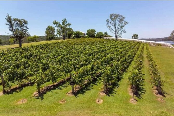 One Hump Camel Farm and Wine Tour - Royal Hotel Harrisville and a 45-minute lunch