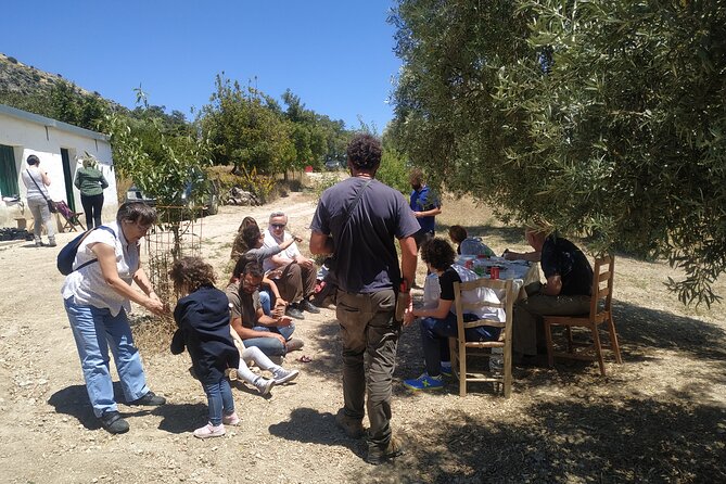 Organic Iberian Ham, farm visit and premium tasting! - Is $80.98 a fair price?