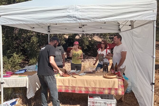 Organic Iberian Ham, farm visit and premium tasting! - The optional 4x4 movement between farm sections