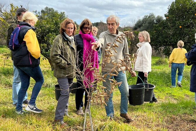 Organic Orange Picking & Jam Making with Farm-to-Table Lunch - Stop One: A Historic House Near Odelouca