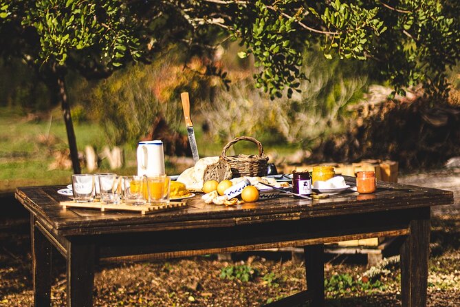 Organic Orange Picking & Jam Making with Farm-to-Table Lunch - What You Actually Take Home