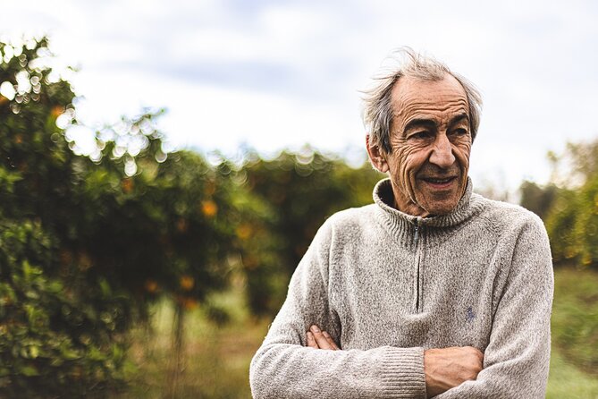Organic Orange Picking & Jam Making with Farm-to-Table Lunch - Timing, Group Size, and the Silves Location