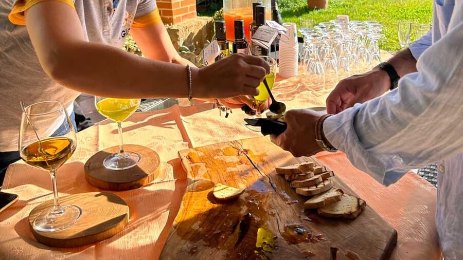 Oristano: visit a farm with oil tasting - From fruit to bottle: what makes the oil extra virgin