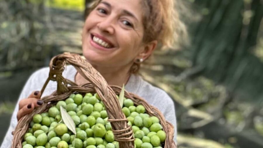 Oristano: visit a farm with oil tasting - Learning to pair oil with food