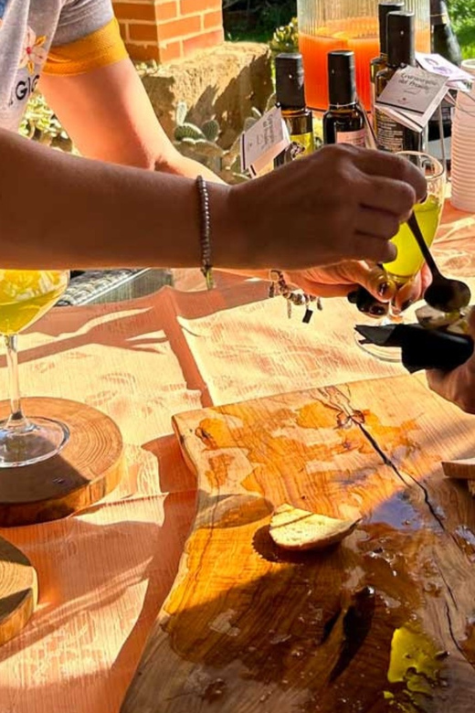Oristano: visit a farm with oil tasting - Anna and Antonella’s family connection