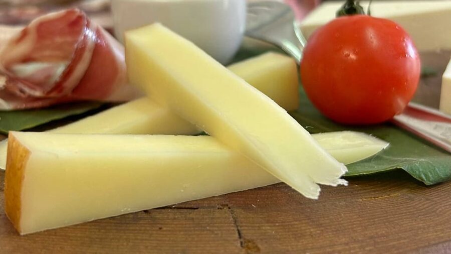 Oristano: visit a farm with oil tasting - Timing, comfort, and practical limits