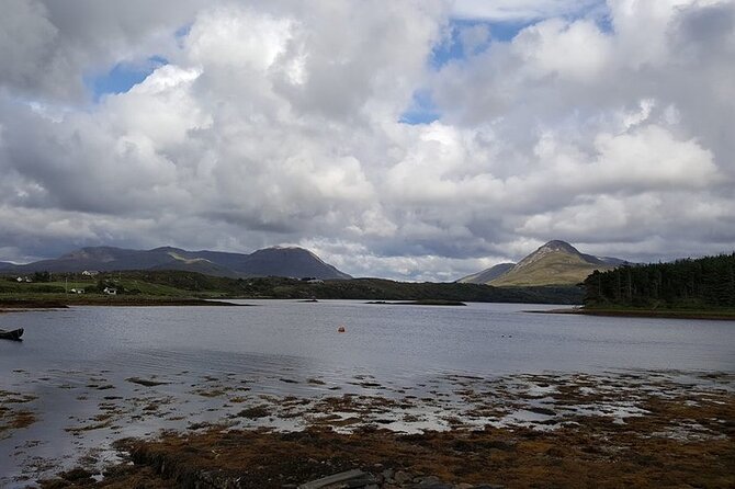 Oyster Farm and Tasting Experience - Key points to know before booking