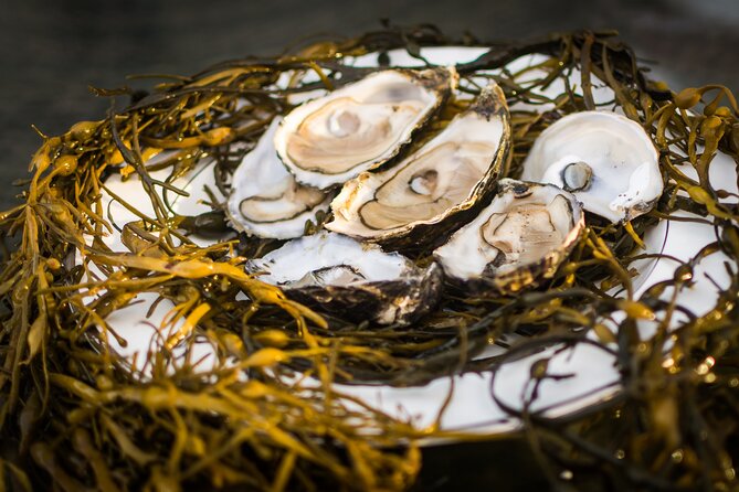 Oyster Farm and Tasting Experience - The oyster tasting, from first bite to second thoughts
