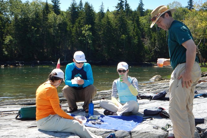Oyster Farm & Complimentary Tasting Sea Kayak Tour in Casco Bay - Why this Casco Bay tour feels different