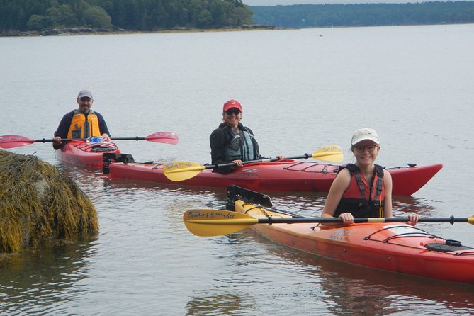 Oyster Farm & Complimentary Tasting Sea Kayak Tour in Casco Bay - Learning how oysters clean the bay