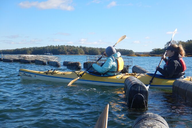 Oyster Farm & Complimentary Tasting Sea Kayak Tour in Casco Bay - Weather is part of the decision