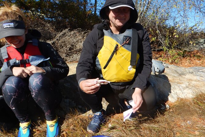Oyster Farm & Complimentary Tasting Sea Kayak Tour in Casco Bay - Is $99 a fair price?