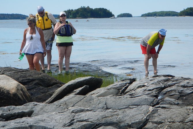 Oyster Farm & Complimentary Tasting Sea Kayak Tour in Casco Bay - Who should book this morning?