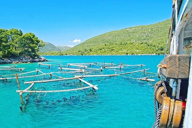Oyster farm experience / Private day trip from Dubrovnik - Key points at a glance