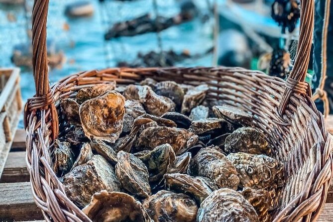 Oyster farm experience / Private day trip from Dubrovnik - What the $258.30 price really buys you