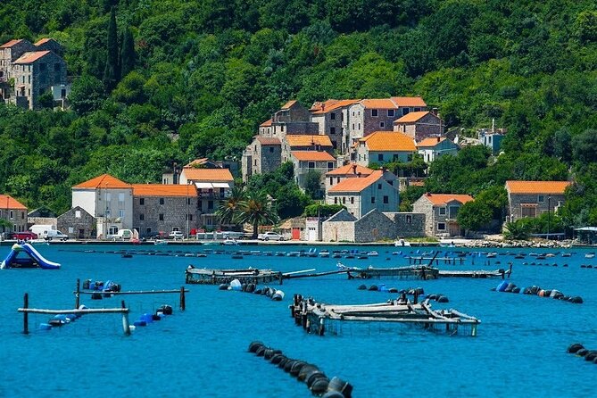 Oyster farm experience / Private day trip from Dubrovnik - Mali Ston Bay and the oyster tradition