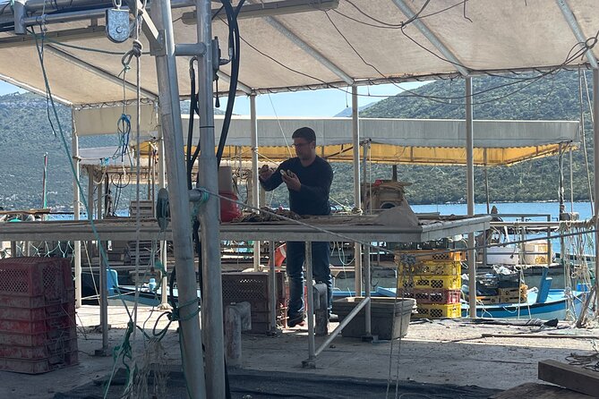 Oyster Farm, Ston and Winery Tour - The guide and the feel of the group
