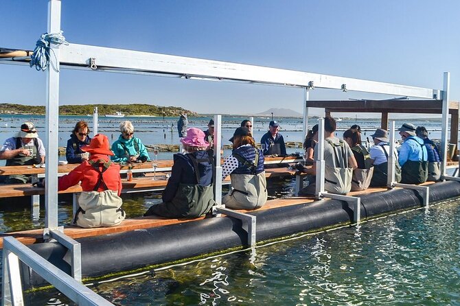 Oyster Farm Tour with Hotel Pick-up and return from Port Lincoln - Key points at a glance