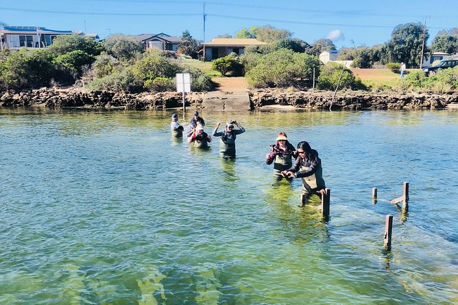 Oyster Farm Tour with Hotel Pick-up and return from Port Lincoln - Who will enjoy this farm visit most