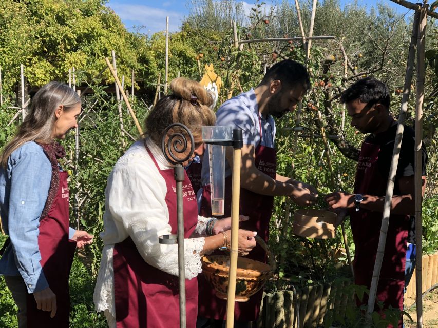 Paciano: Organic Cooking Class at a Farm with Lunch & Wine - Is the $124.61 price fair?