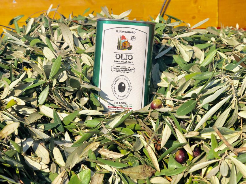 Paciano: Organic Cooking Class at a Farm with Lunch & Wine - Wine and olive oil with a sense of place