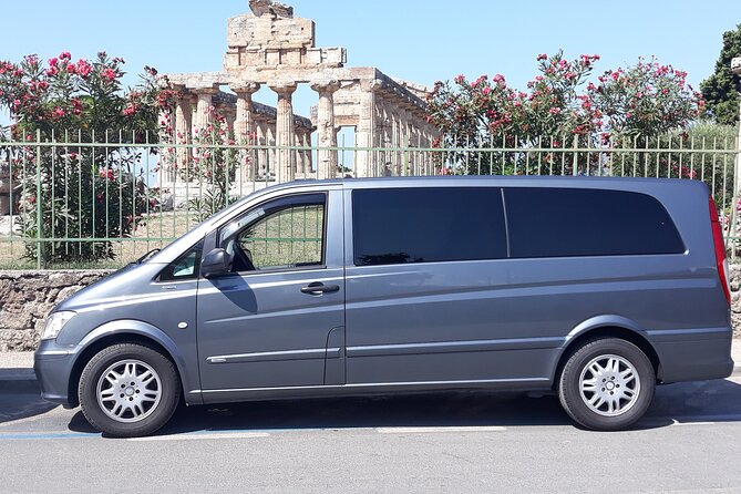 Paestum and Buffalo Farm Day Tour from Sorrento - Key points to know before booking