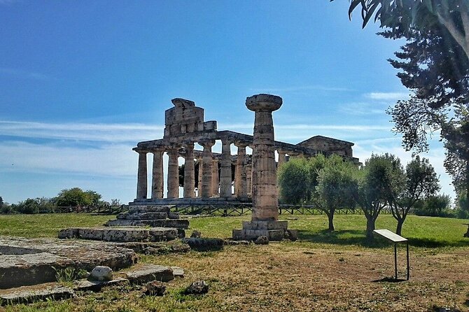 Paestum and Buffalo Farm Day Tour from Sorrento - Why Paestum makes the long drive worthwhile