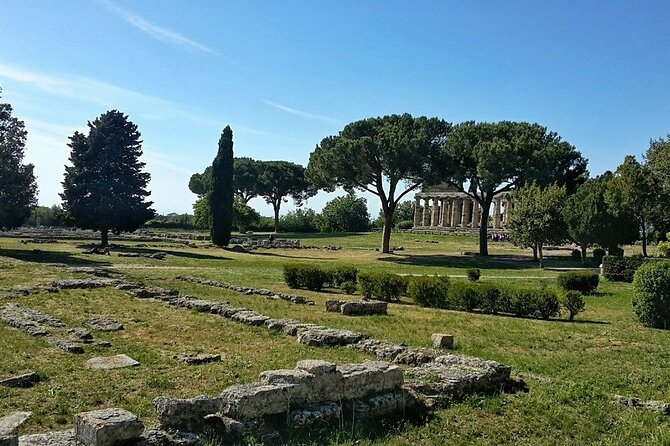 Paestum and Buffalo Farm Day Tour from Sorrento - Barlotti and the taste of buffalo country