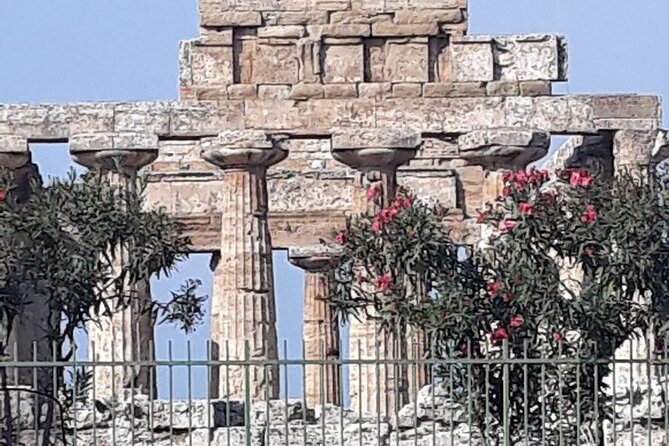 Paestum and Buffalo Farm Day Tour from Sorrento - The private ride from Sorrento