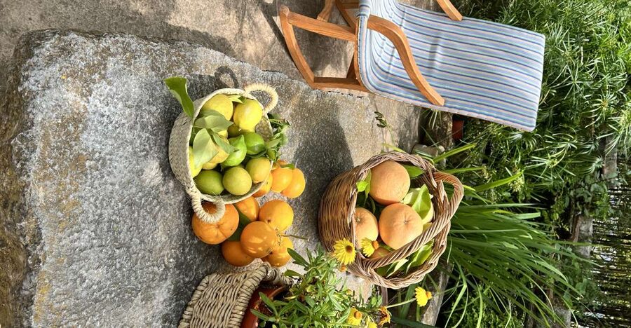 Palma: Orange Valley Vintage Train and Orange Farm Tour - Key points to know before booking