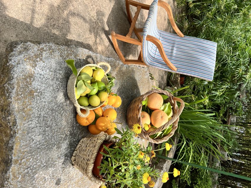 Palma: Orange Valley Vintage Train and Orange Farm Tour - Why this Palma to Sóller day works so well