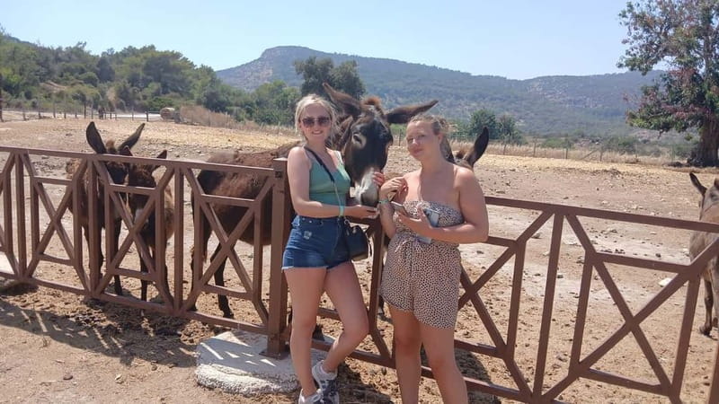 Paphos: Avakas Gorge & Turtle Bay Jeep Tour with Donkey Farm - Lara Bay and the sea turtles