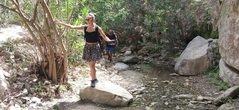 Paphos: Avakas Gorge & Turtle Bay Jeep Tour with Donkey Farm - The Baths of Aphrodite
