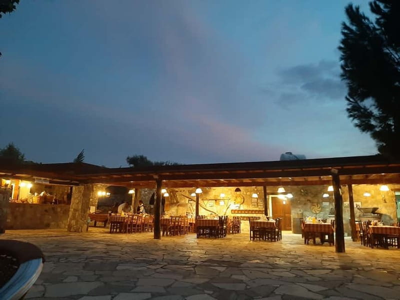 Paphos/Limassol: Donkey Farm Day Trip with Lunch & Tastings - Barbecue lunch, wine, and Cypriot dancing