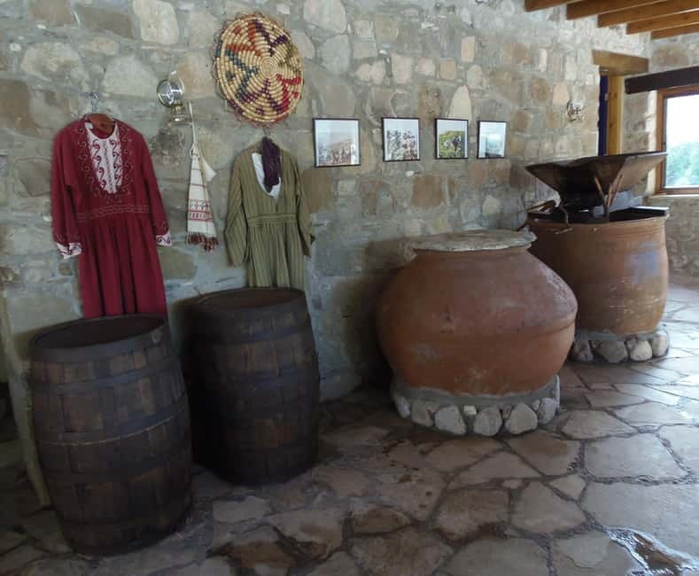 Paphos/Limassol: Donkey Farm Day Trip with Lunch & Tastings - What $88 includes, and where the value lies