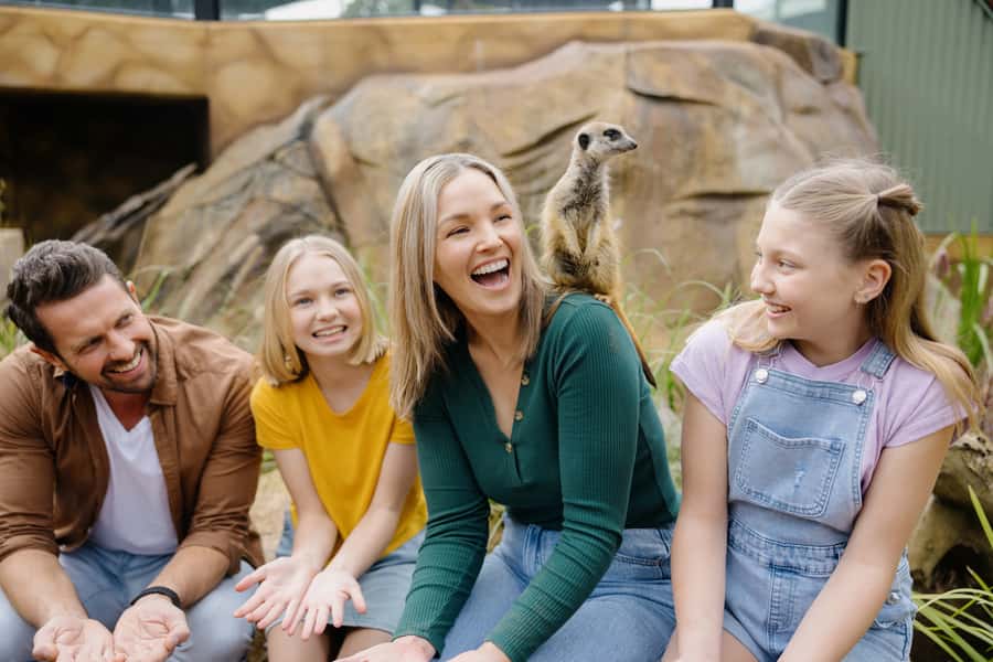 Paradise Country: Ultimate Aussie Farm Experience - Key points before you go