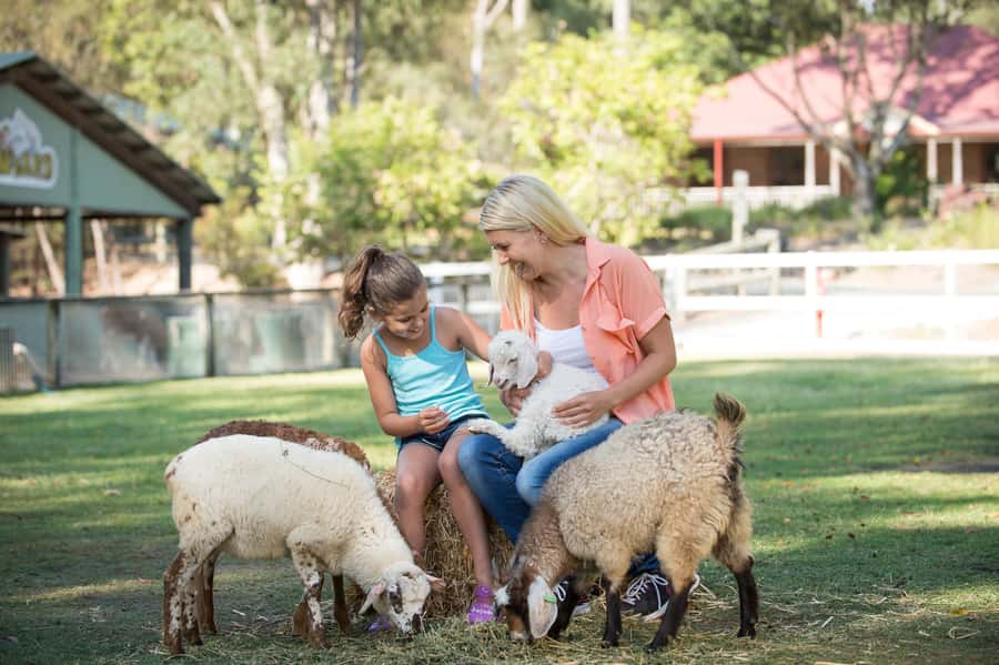 Paradise Country: Ultimate Aussie Farm Experience - How to plan a better visit
