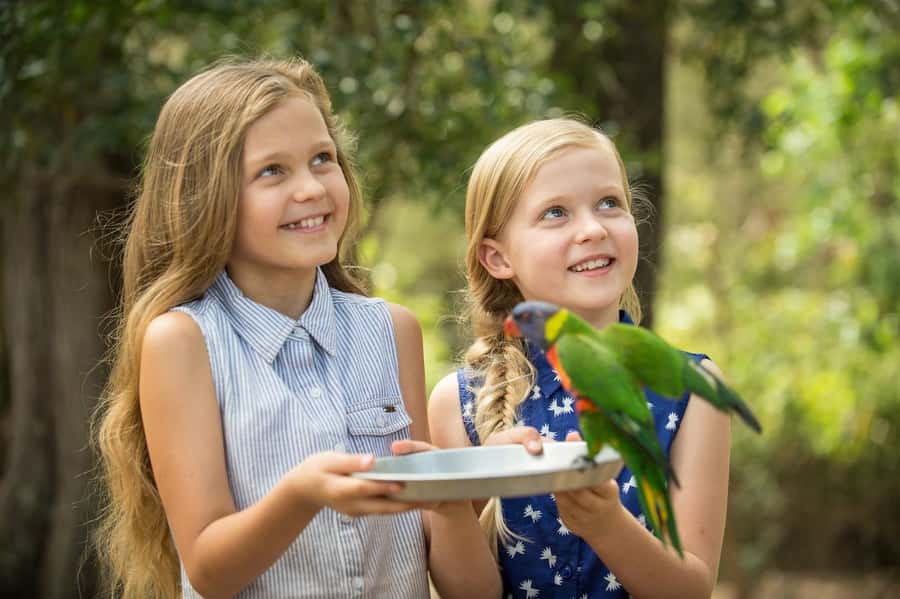 Paradise Country: Ultimate Aussie Farm Experience - What Paradise Country is trying to offer