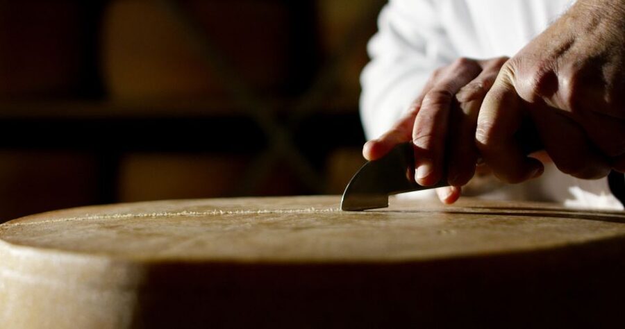 Parma: Parmigiano Reggiano Farm Tour & Tasting with Transfer - Why Parmigiano-Reggiano is worth a morning in Parma